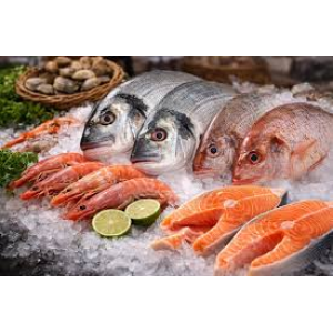 Seafood Fresh and Frozen