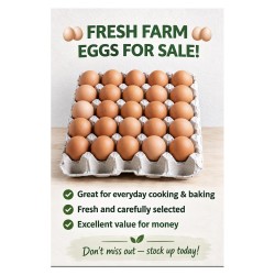 Farm Fresh Eggs 30's Large Tray